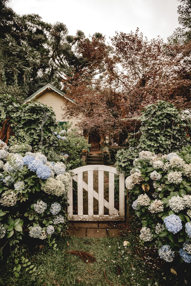 Garden Services in Crawley